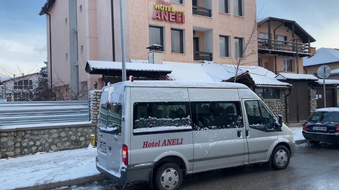 Aneli Hotel Bansko